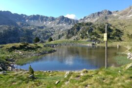 estany forcat