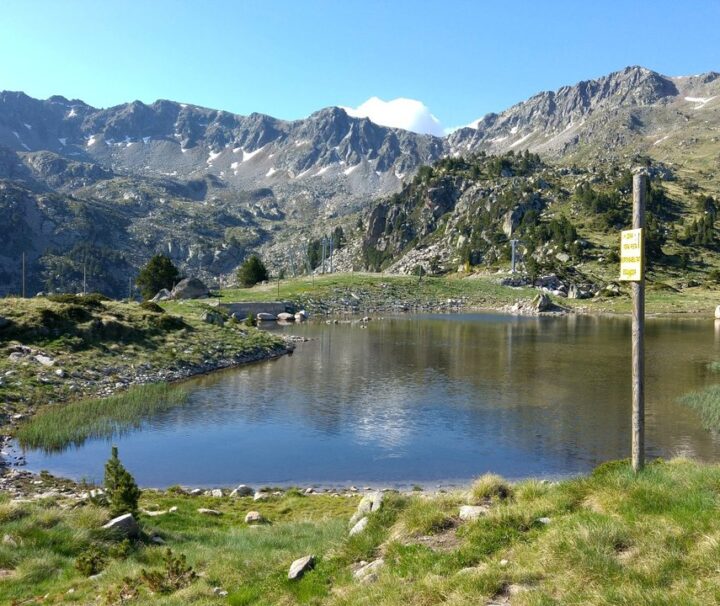 estany forcat
